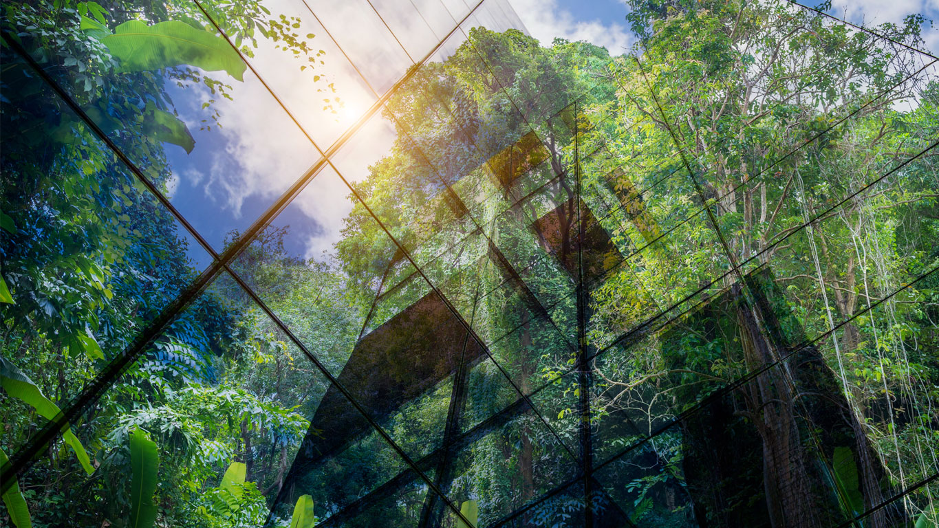 Sustainability, Glass building and trees